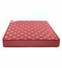 Ace 8 inch Bonnell Spring King Size Mattress