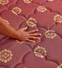 Ace 8 inch Bonnell Spring Queen Size Mattress