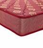 Ace 8 inch Bonnell Spring Queen Size Mattress