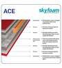 Ace 8 inch Bonnell Spring Queen Size Mattress