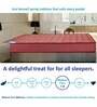 Ace 8 inch Bonnell Spring Queen Size Mattress
