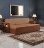 Ace Double Sized Pull-Out Sofa Cum Bed With Box Storage In Teak Finish