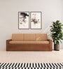 Ace Double Sized Pull-Out Sofa Cum Bed With Box Storage In Teak Finish