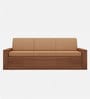 Ace Double Sized Pull-Out Sofa Cum Bed With Box Storage In Teak Finish
