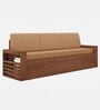 Ace Double Sized Pull-Out Sofa Cum Bed With Box Storage In Teak Finish