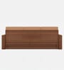 Ace Double Sized Pull-Out Sofa Cum Bed With Box Storage In Teak Finish