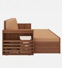 Ace Double Sized Pull-Out Sofa Cum Bed With Box Storage In Teak Finish