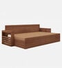 Ace Double Sized Pull-Out Sofa Cum Bed With Box Storage In Teak Finish