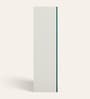 Aceline Printed Steel 2 Door Wardrobe In Textured Foliage Green Colour With Locker