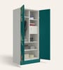 Aceline Printed Steel 2 Door Wardrobe In Textured Foliage Green Colour With Locker