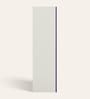 Aceline Printed Steel 2 Door Wardrobe In Textured Purple Magic Colour With Locker