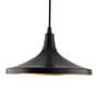 Aciano Black Metal Hanging Light