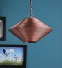 Naomi Acorn Copper Metal Hanging Light