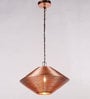 Naomi Acorn Copper Metal Hanging Light