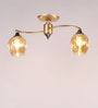 Elegant Gold Glass Shaded Chandelier