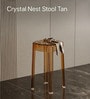 Acrylic Finish Taupe  Crystal End Table (Set of 3)