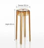 Acrylic Finish Taupe  Crystal End Table (Set of 3)