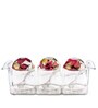 Red 150 ml each Acrylic (Set of 3)  Condiment Sets