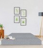 Acum 8 Inch Foam (72x48) In Grey Colour Queen Size Sofa Cum Foldable Mattress