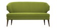 Adrian 2 Seater Sofa in Olive Green Colour