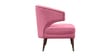 Adrian 2 Seater Sofa in Pink Colour