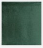 Adalira Velvet Slipper Chair In Green Colour