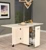 Adam 6 Seater Folding Table in Highland Pine Finish with Crockery unit & Storage