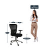Adam Medium Back Ergonomic Chair in Black Colour