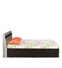 Adam Queen Size Bed With Box Storage in Dark Ebony Finish
