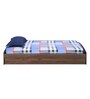 Addison Single Bed with Storage in Walnut Finish