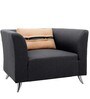 Iowa 1 Seater Sofa in Steel Grey colour