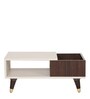 Ademar Coffee Table In Wenge Finish