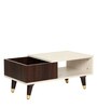 Ademar Coffee Table In Wenge Finish