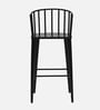 Adler Metal Bar Stool In Black Colour