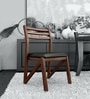 Adlis Solid Wood Dining Chairs in Green Colour