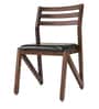 Adlis Solid Wood Dining Chairs in Green Colour