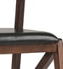 Adlis Solid Wood Dining Chairs in Green Colour