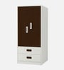 Adonica 2 Door Wardrobe With Drawers In Coffee Walnut Finish