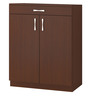 Alana 2-Door Shoe Cabinet with Drawer & Ventilated Shelves in Terra Sienna Finish