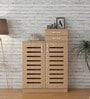 Austin Slatted 2 Door Shoe Cabinet In Maple Finish