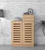 Austin Slatted 2 Door Shoe Cabinet In Maple Finish