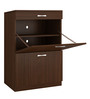 Modena Twin Pull-down Shoe Rack with Drawer in Coffee Walnut Finish