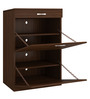 Modena Twin Pull-down Shoe Rack with Drawer in Coffee Walnut Finish