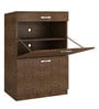 Modena Twin Pull-down Shoe Rack with Drawer in Tawny Cambric Finish