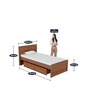 Adriana Single Size Bed with Drawer Storage in Walnut Finish