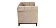 Aelber Velvet 2 Seater Sofa In Beige Colour