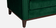Aelber Velvet 2 Seater Sofa In Dark Green Colour