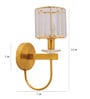 Elania Brass Metal and Glass Wall Sconces