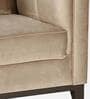 Aelber Velvet 1 Seater Sofa In Beige Colour