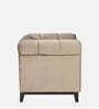 Aelber Velvet 1 Seater Sofa In Beige Colour